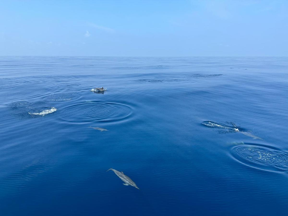 Coco Villa,Ukulhas Bagian luar foto